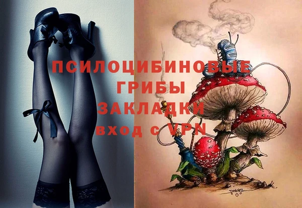 тгк Майский